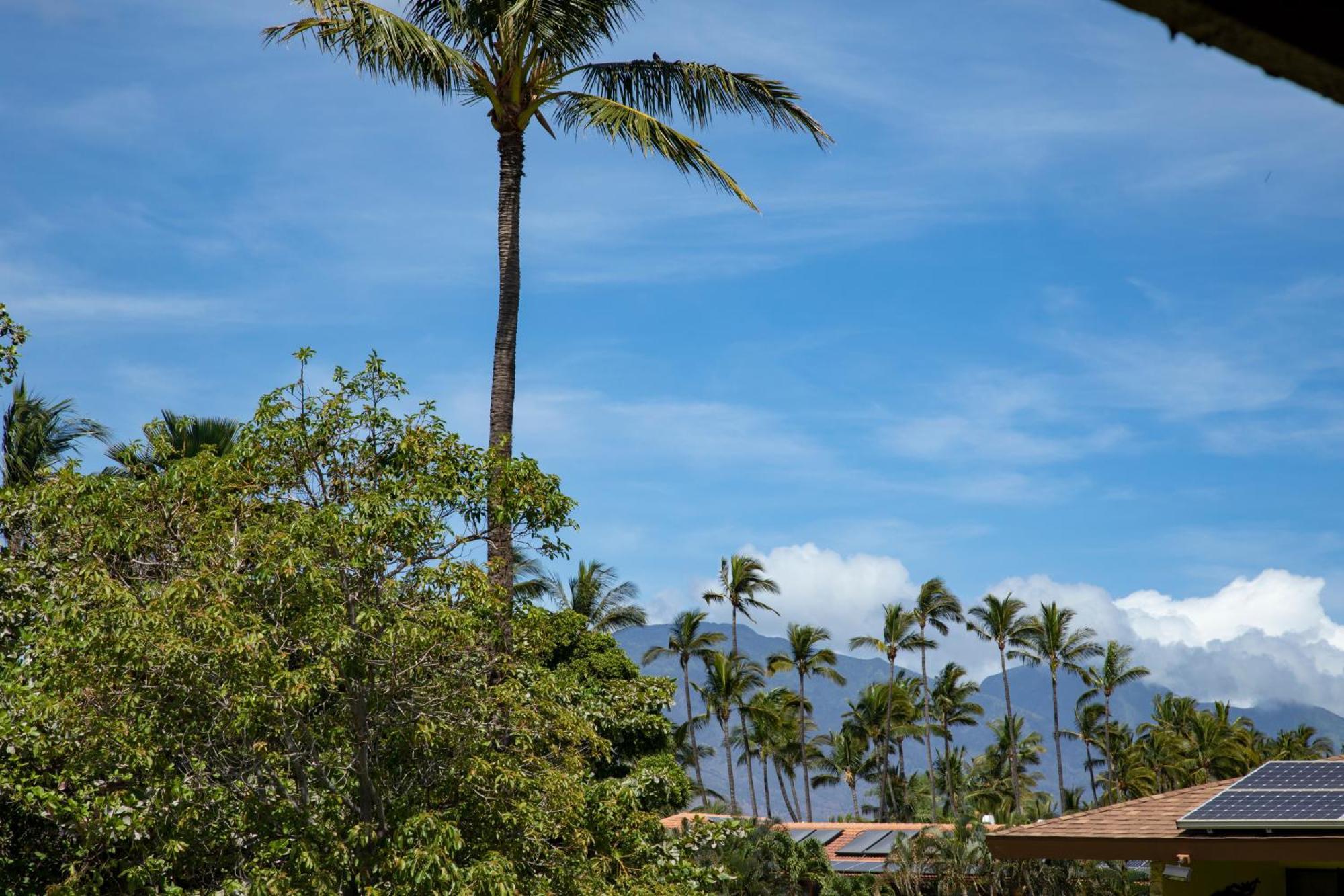 Beautiful 2Br 2Ba With Panoramic Ocean Views, Wifi, Free Parking! Kihei Exterior foto